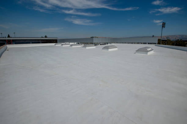 Best Hot Roofs  in Eureka, IL